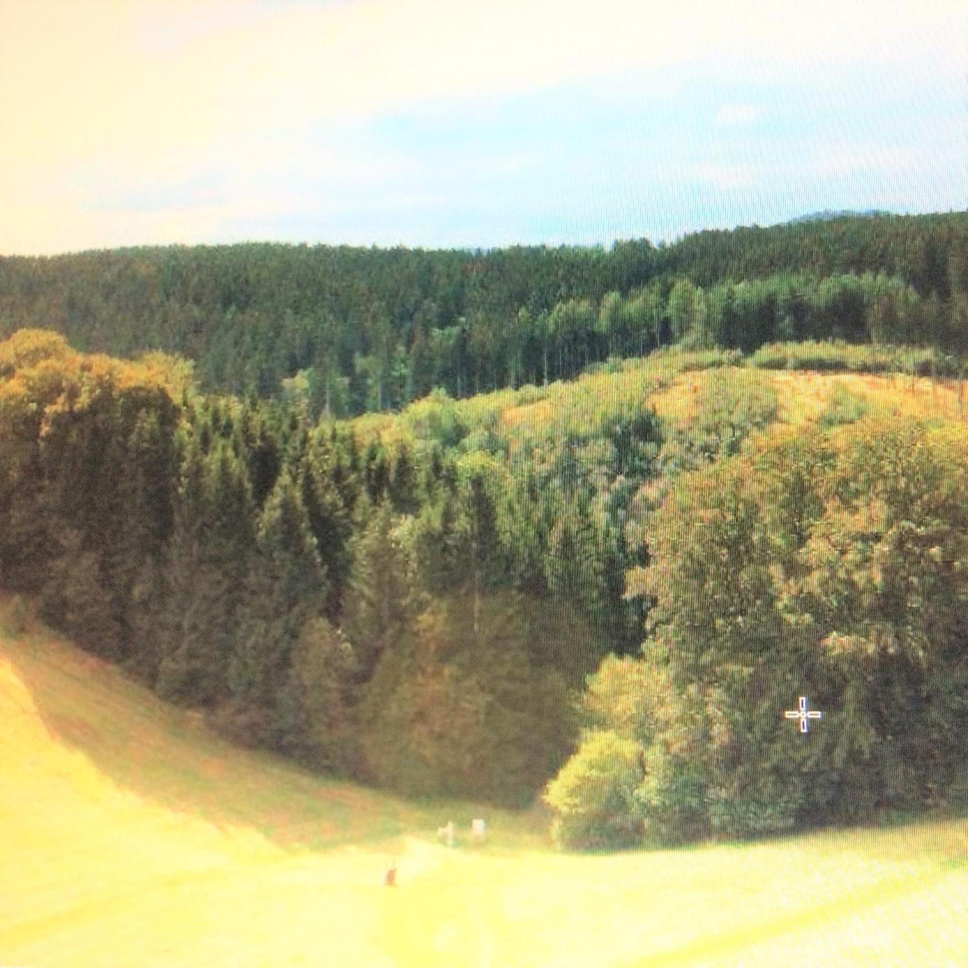 Ferienwohnung Panoramicharz App459 Braunlage Exterior photo